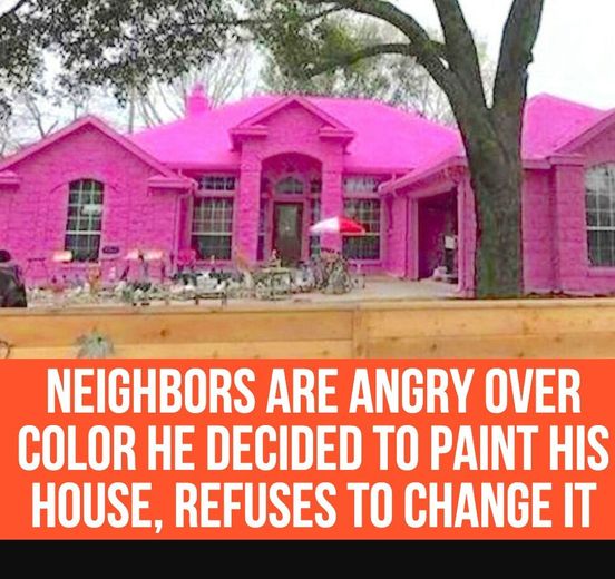 Neighbors Are Angry Over Color He Decided To Paint His House, Refuses To Change It