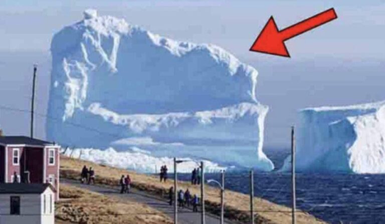 Iceberg Floats Near The Local Village. When People See What’s On It, They Get Scared