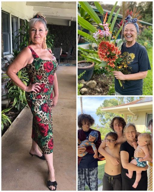 Roseanne Barr’s Hawaiian Retreat: A Tranquil Life on the Macadamia Nut Farm